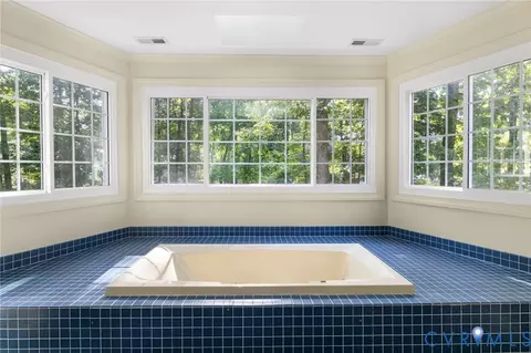 Bath - 14411 Galloway Ct, Midlothian, VA 23113 photo 4 of 7