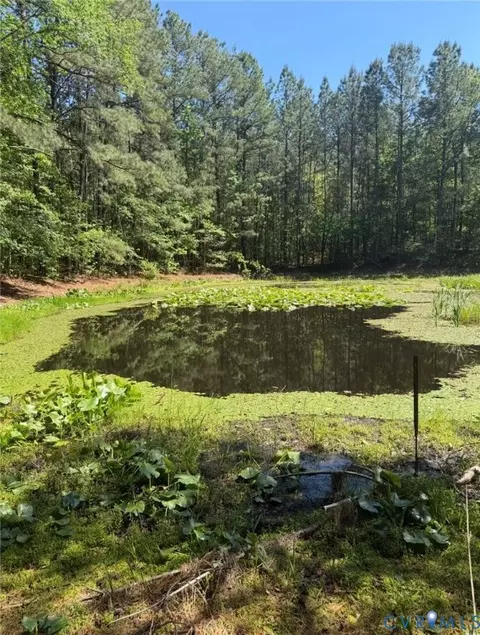 0 Sturgeon Rd, Lawrenceville, VA 23868