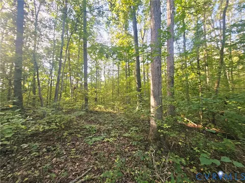0 Bambi Ct, Beaverdam, VA 23015 photo 8