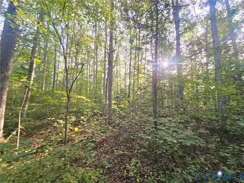 0 Bambi Ct, Beaverdam, VA 23015 photo 9