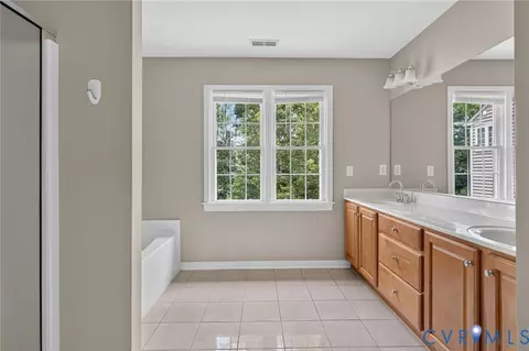 Bath - 14219 Jeffries Pl, Midlothian, VA 23114 photo 2 of 4