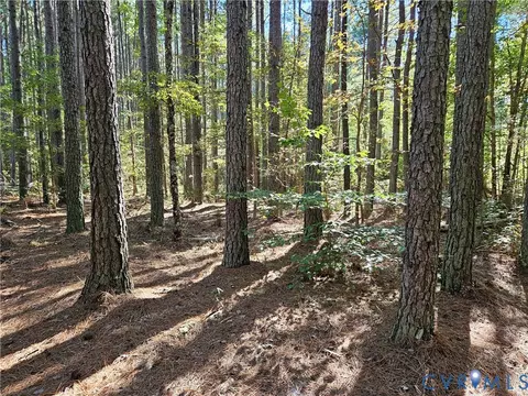 33 65 Acres Military Rd, Amelia Courthouse, VA 23002