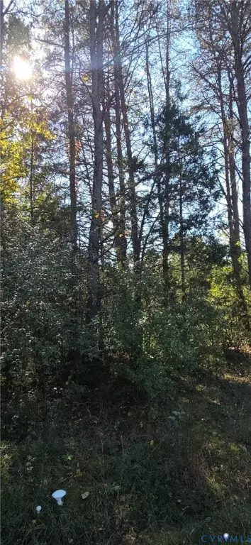 0 Cedar Plains Rd, Sandy Hook, VA 23153 photo 2