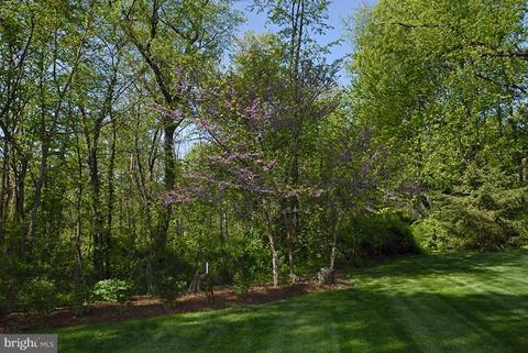8181 Frogtown Rd, Marshall, VA 20115 photo 9