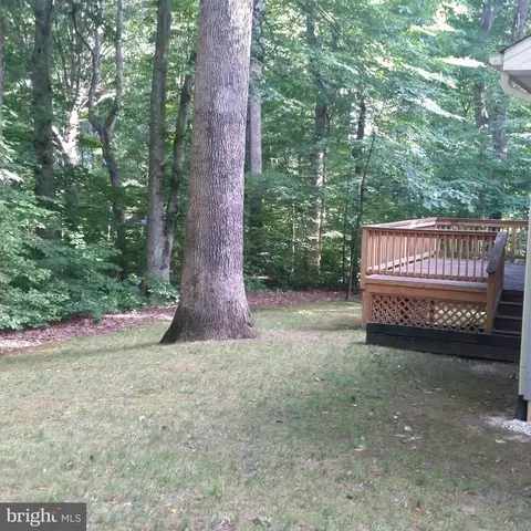 178 Beech Nut Dr, Louisa, VA 23093 photo 4