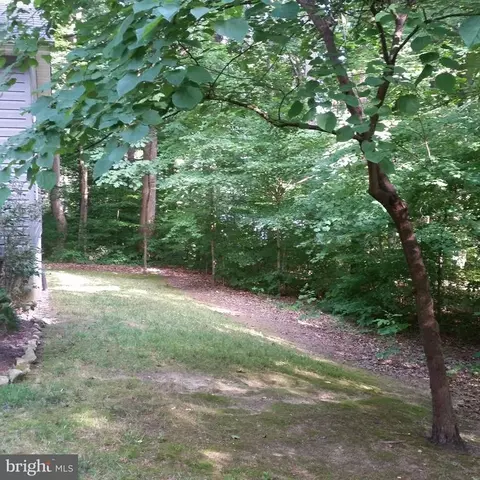 178 Beech Nut Dr, Louisa, VA 23093 photo 21