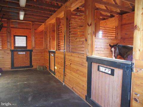 9692 Ridge View Dr, Marshall, VA 20115 photo 19