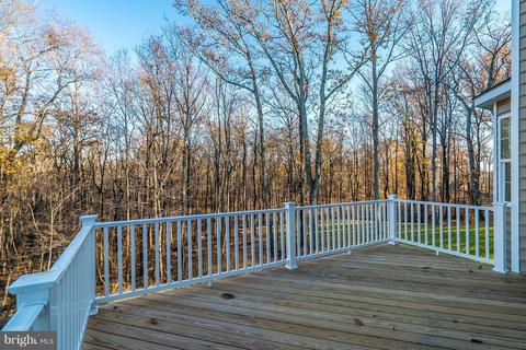 10527 Bears Den Rd, Marshall, VA 20115 photo 29