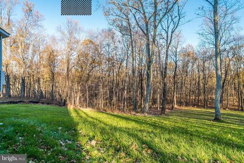 10527 Bears Den Rd, Marshall, VA 20115 photo 30
