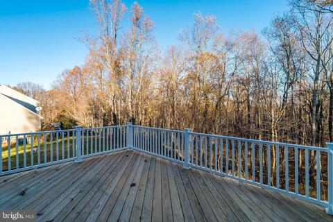 10527 Bears Den Rd, Marshall, VA 20115 photo 28