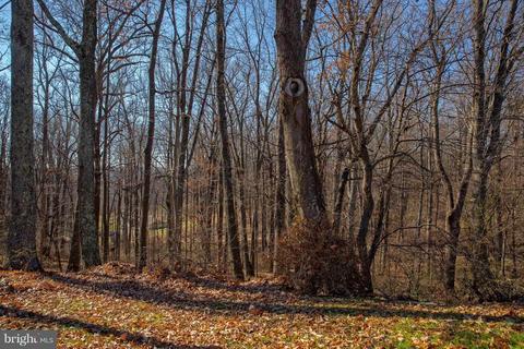 4454 Scotts Rd, Marshall, VA 20115 photo 19