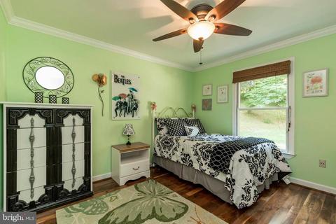 6687 Thumb Run Rd, Marshall, VA 20115 photo 23