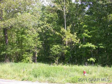 Tbd Mine Branch Rd, Crimora, VA 24431