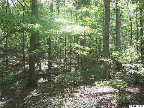1 Mountain Laurel Rd, Palmyra, VA 22963