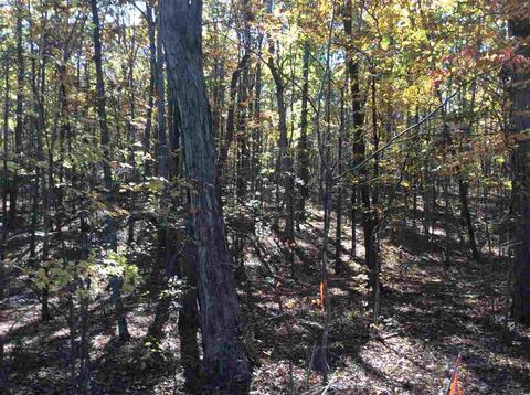 0 Mountain Laurel Rd, Palmyra, VA 22963
