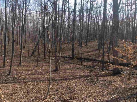 1 Deep Creek Rd, Palmyra, VA 22963