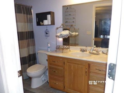 108 Iris Dr, Waynesboro, VA 22980 photo 19
