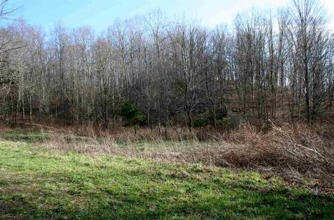 Lot 9 Low Hills S Jackson River Rd, Monterey, VA 24465