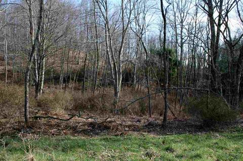 Lot 10 Low Hill NW Jackson River Rd, Monterey, VA 24465