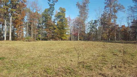 Ruritan Lake Rd, Scottsville, VA 24590