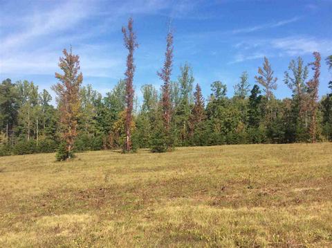 0 Byrd Mill Rd, Louisa, VA 23093