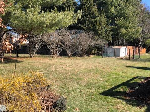 47 Windmill Ln, Stuarts Draft, VA 24477 photo 30