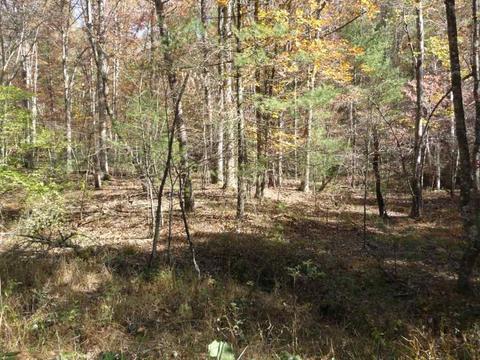 0 Mountain Top Dr #8, Mathias, WV 26812