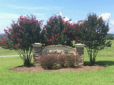 9 Ridgeview Dr #9, Ruckersville, VA 22968