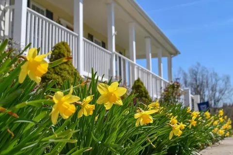 140 Koogler Trl, Raphine, VA 24472 photo 36