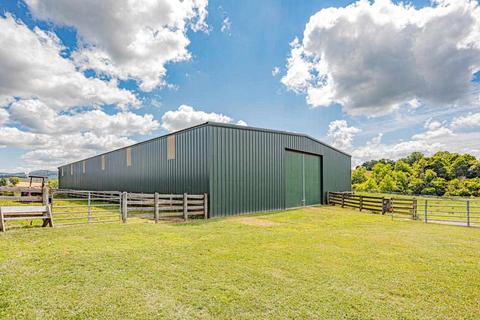 1083 E Field Rd, Rockbridge Baths, VA 24473 photo 15