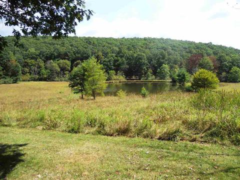 3177 Davis Run Rd, Mcdowell, VA 24458 photo 7