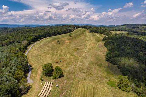 370 Spring Run Ln, Raphine, VA 24472 photo 31