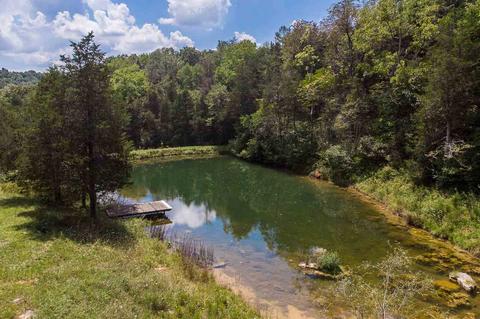 370 Spring Run Ln, Raphine, VA 24472 photo 27