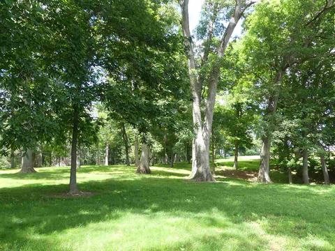 188 Wind River Dr, Rockbridge Baths, VA 24473 photo 17