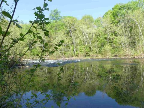 188 Wind River Dr, Rockbridge Baths, VA 24473 photo 16