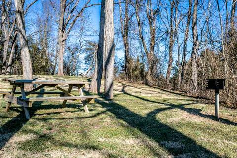 568 Whetstone Draft Rd, Mount Solon, VA 22843 photo 45