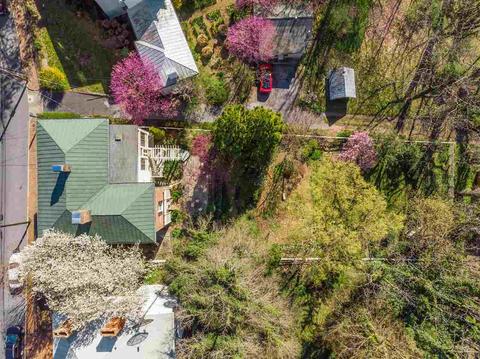 316 E Beverley St, Staunton, VA 24401 photo 49