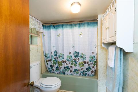 12 Tye River Tpke, Raphine, VA 24472 photo 18