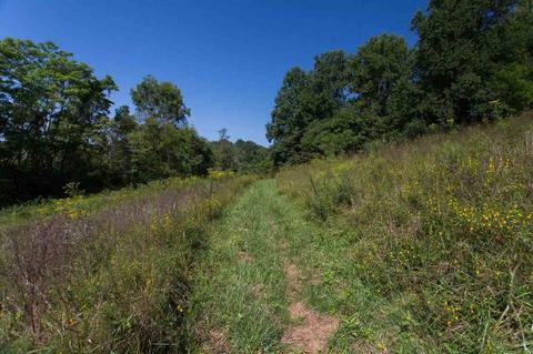3211 Lowesville Rd, Lowesville, VA 22967 photo 46