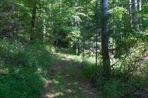 3211 Lowesville Rd, Lowesville, VA 22967 photo 44