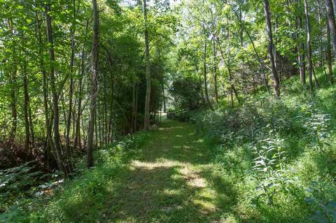 3211 Lowesville Rd, Lowesville, VA 22967 photo 43