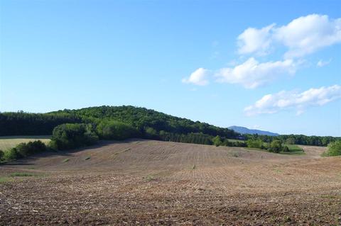 Tbd1 Doe Hill Rd, Port Republic, VA 24471