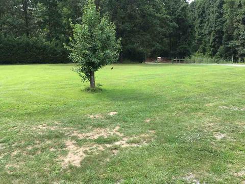 228 Diggs Ln, Stuarts Draft, VA 24477 photo 7