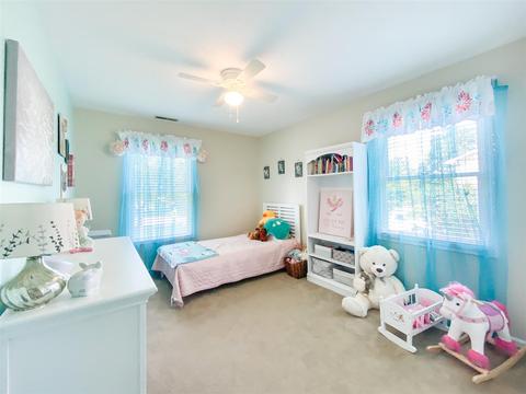 292 Falling Rock Dr, Stuarts Draft, VA 24477 photo 29