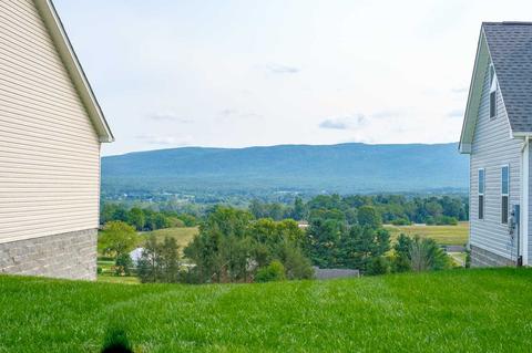 63 Upland Ct, Stuarts Draft, VA 24477 photo 5