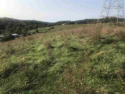 85 Otts Mill Road, Raphine, VA 24472 photo 7