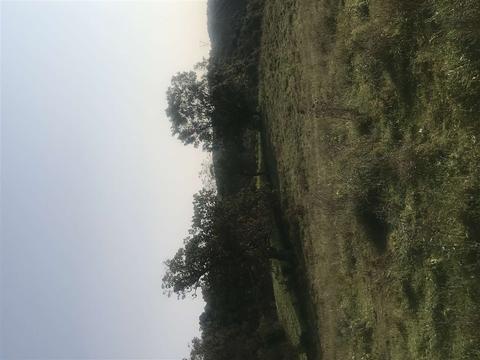 85 Otts Mill Road, Raphine, VA 24472 photo 12