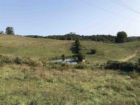 85 Otts Mill Road, Raphine, VA 24472 photo 27