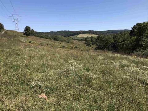85 Otts Mill Road, Raphine, VA 24472 photo 3