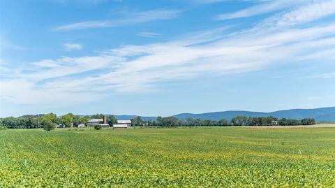 74 Marble Dr, Stuarts Draft, VA 24477 photo 29